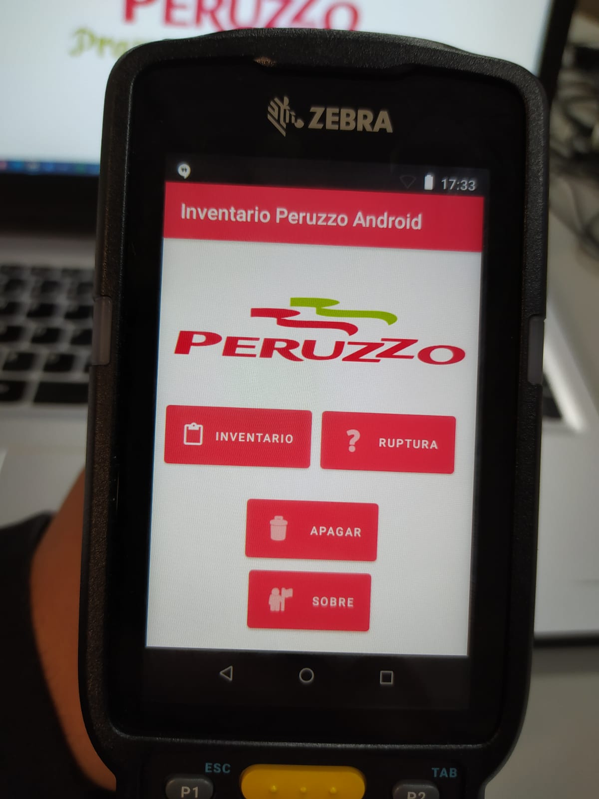 IPA-Inventario Peruzzo Android